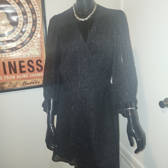 Banana Republic Sparkly Wrap Dress - Picture 4 of 4